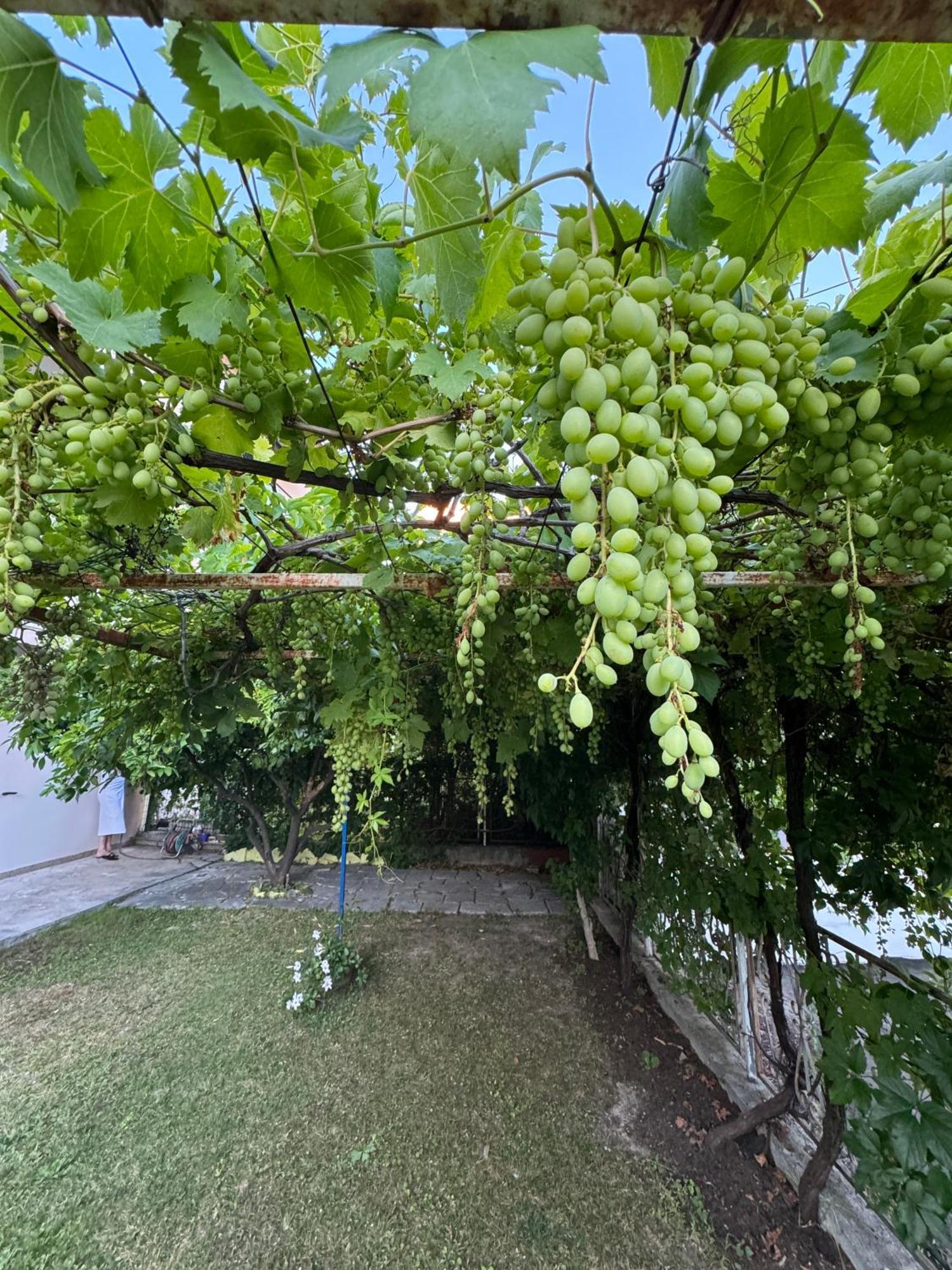 Valentinas Garden Appartement Split Buitenkant foto