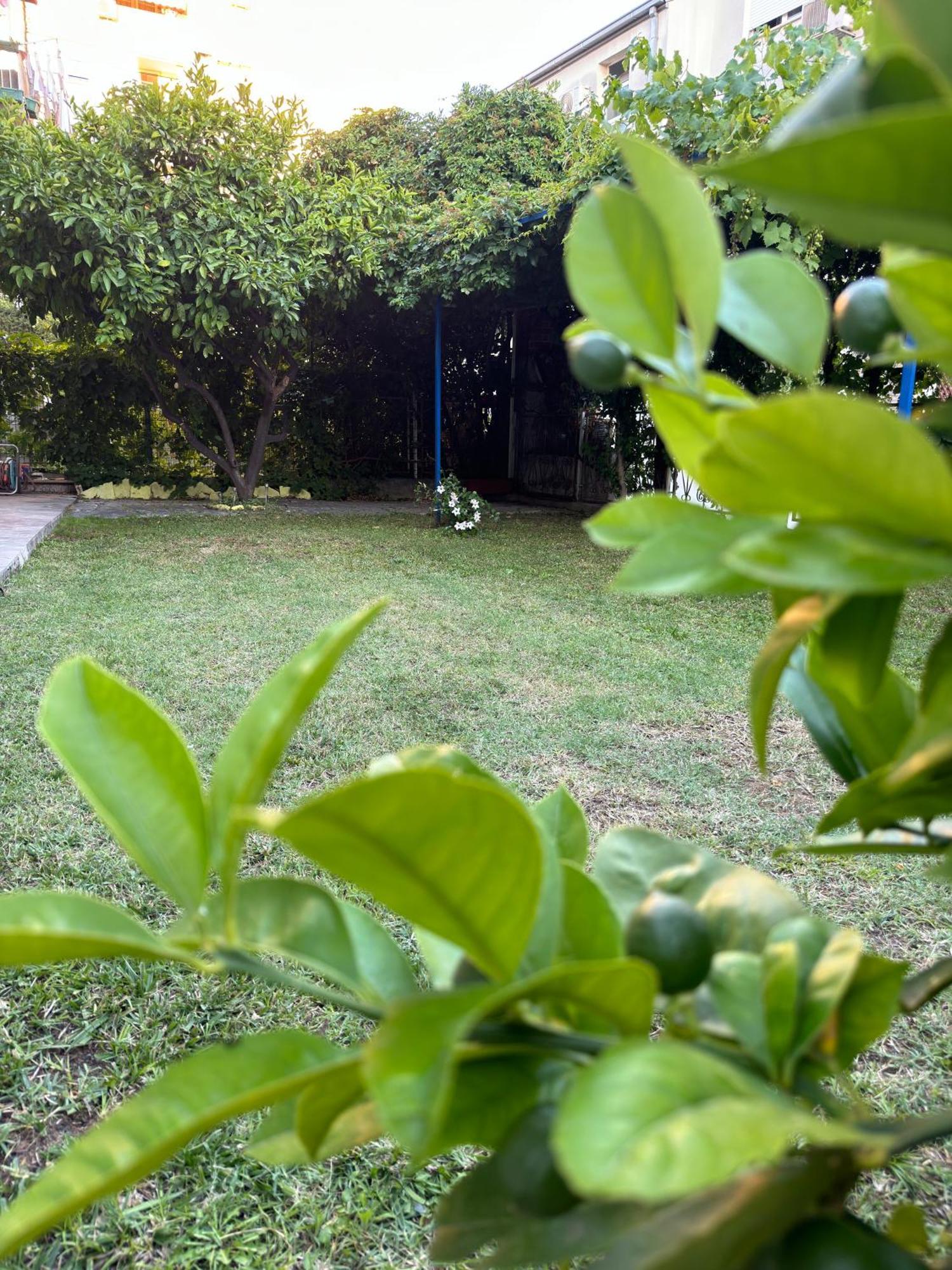 Valentinas Garden Appartement Split Buitenkant foto